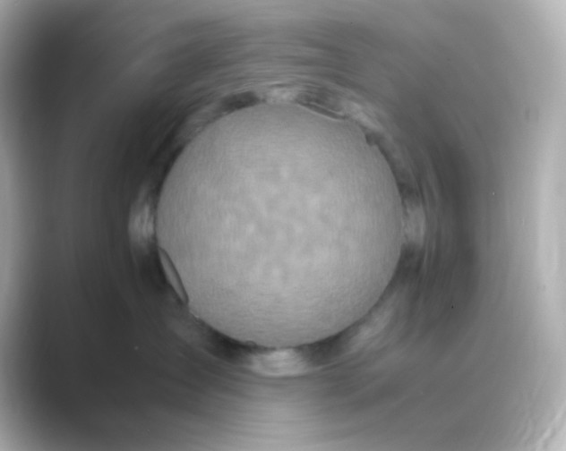 X0000088680431200706211912
