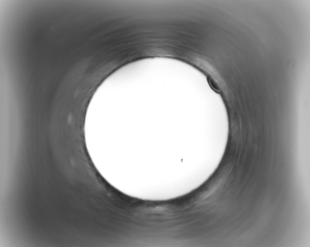 X0000088680433200706211911
