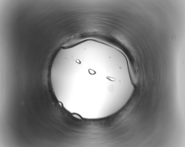 X0000088680434200706211912