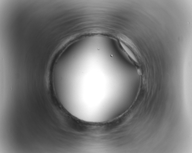 X0000088680436200706211912