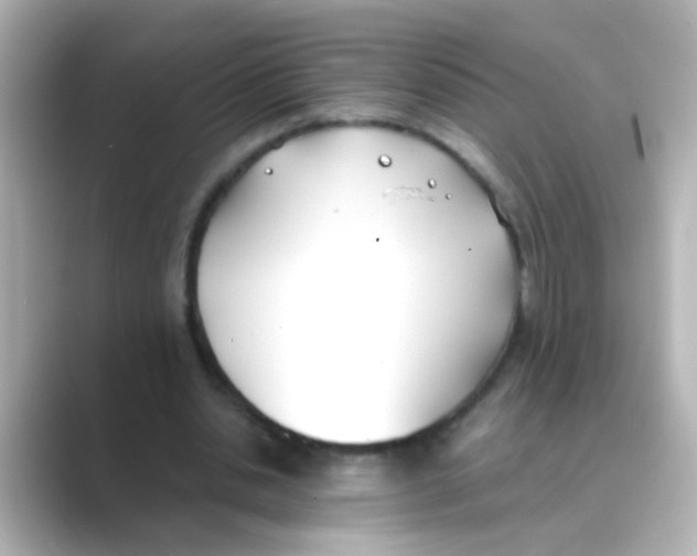 X0000088680438200706211912