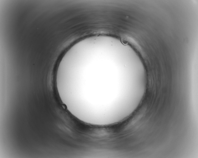 X0000088680439200706211912