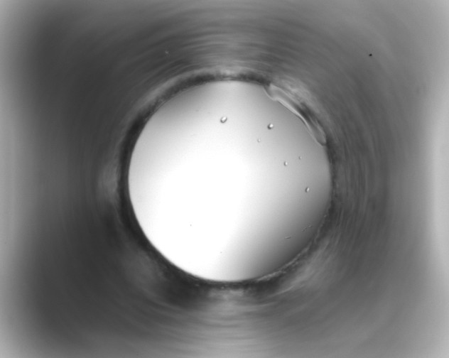 X0000088680440200706211912