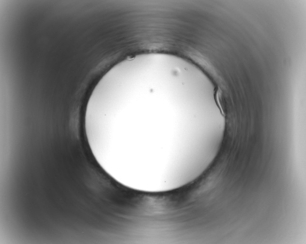 X0000088680442200706211912