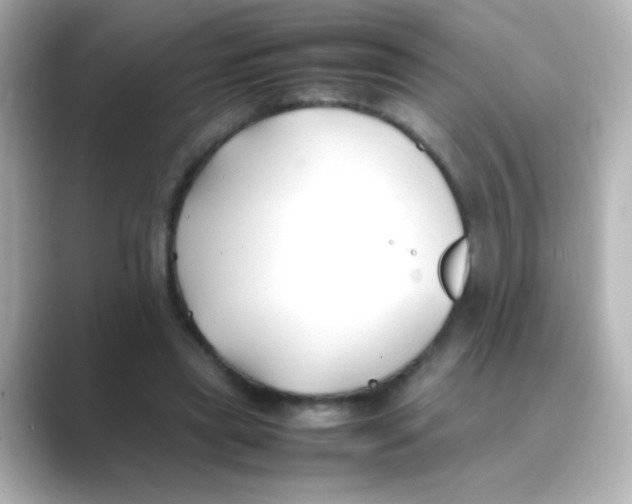 X0000088680445200706211912