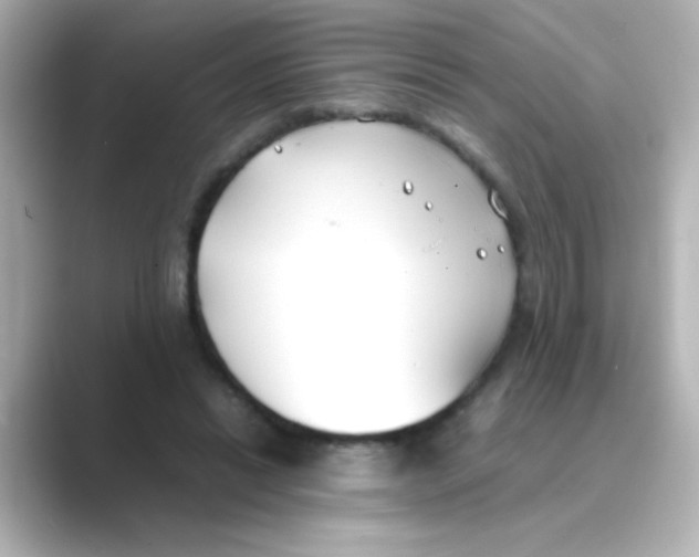 X0000088680446200706211912
