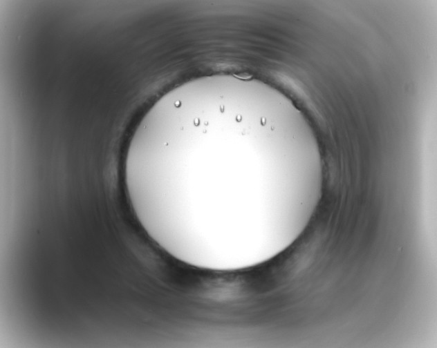 X0000088680447200706211912
