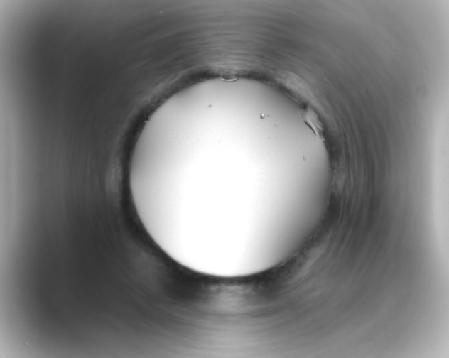 X0000088680448200706211912