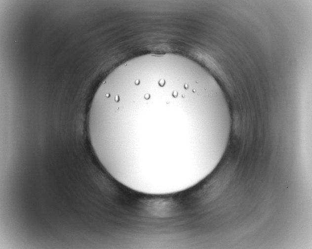 X0000088680449200706211912