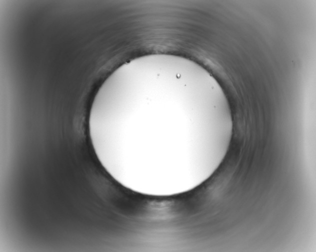 X0000088680450200706211912