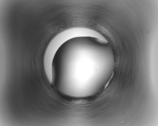 X0000088680452200706211912