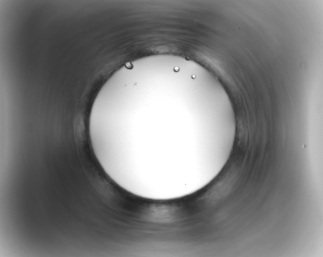 X0000088680453200706211912