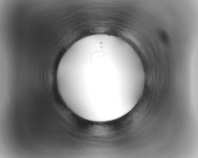 X0000088680455200706211912