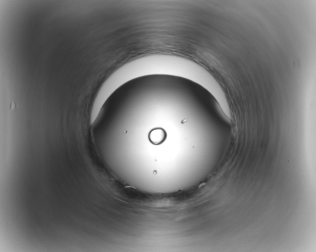 X0000088680456200706211912