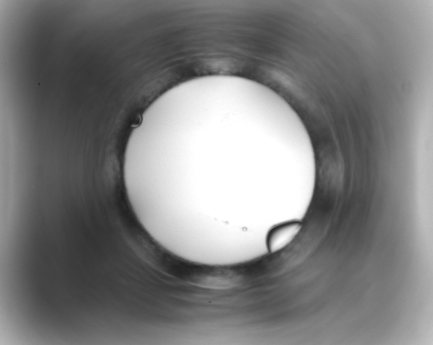 X0000088680459200706211912
