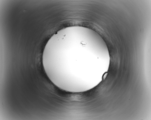 X0000088680462200706211912