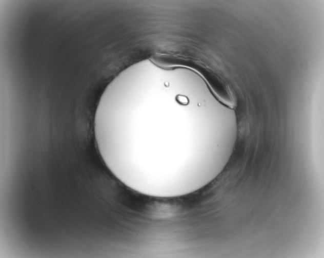 X0000088680464200706211912