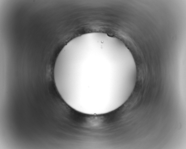 X0000088680465200706211912