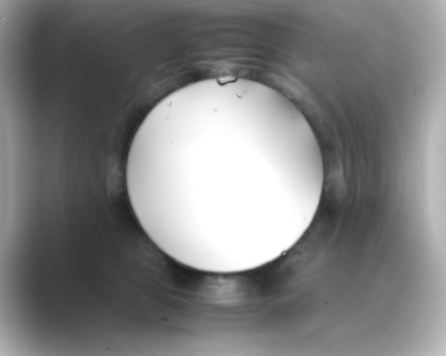 X0000088680469200706211912