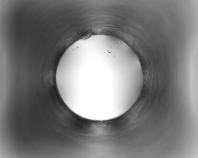 X0000088680470200706211912