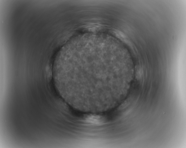 X0000088680471200706211912