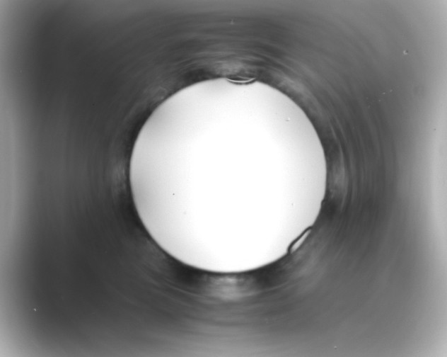 X0000088680473200706211912