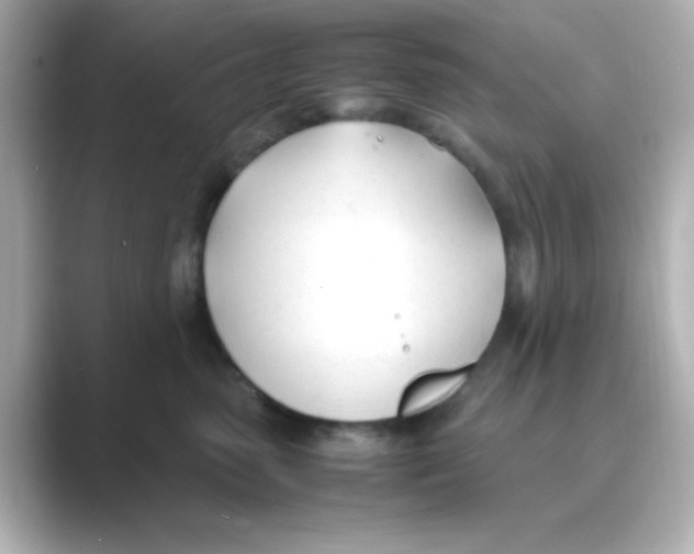 X0000088680475200706211912