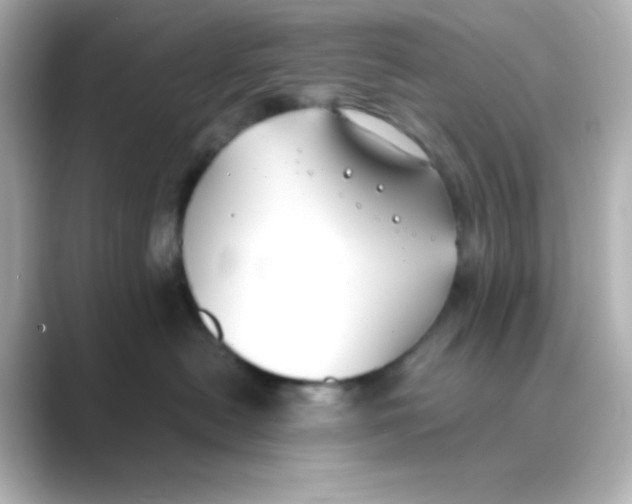 X0000088680478200706211912