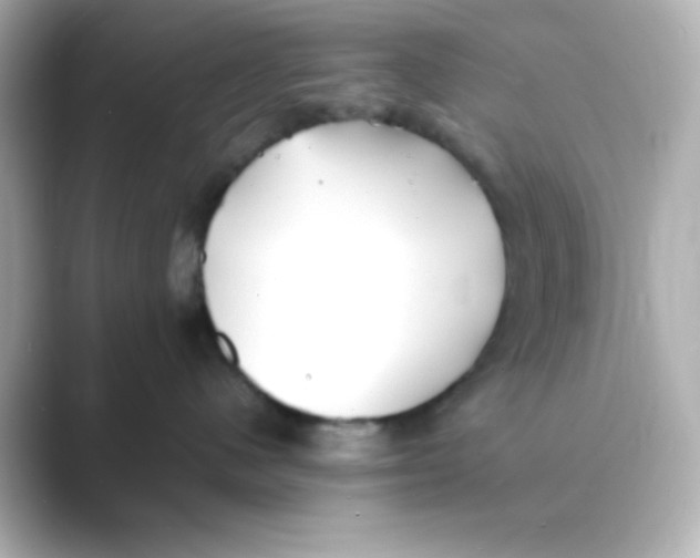 X0000088680480200706211912