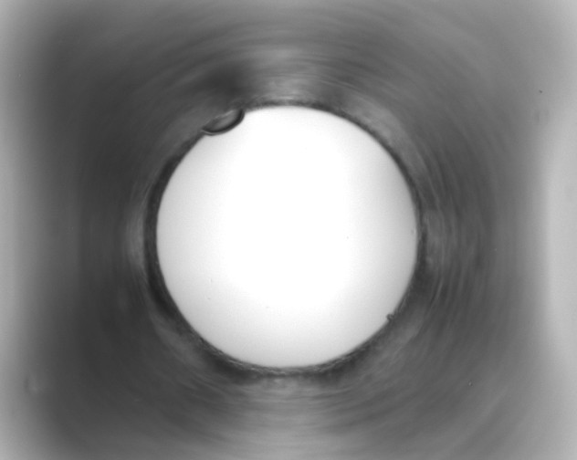 X0000088680482200706211911