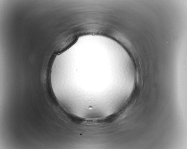 X0000088680483200706211911