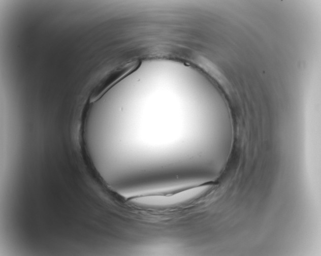 X0000088680485200706211911
