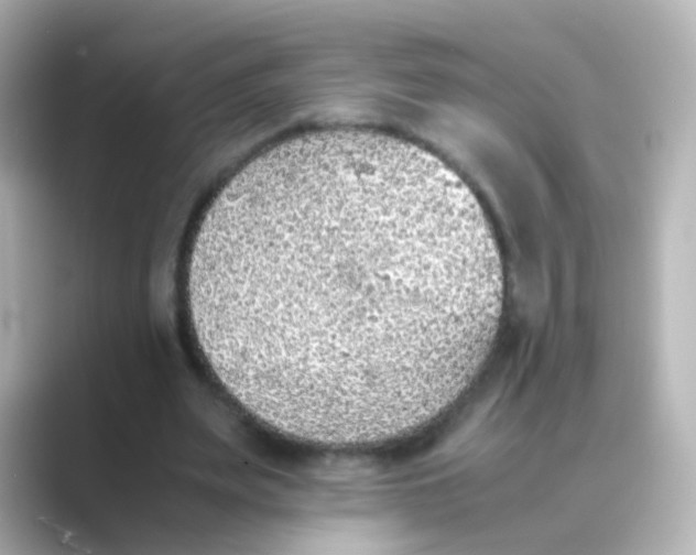 X0000088680487200706211911