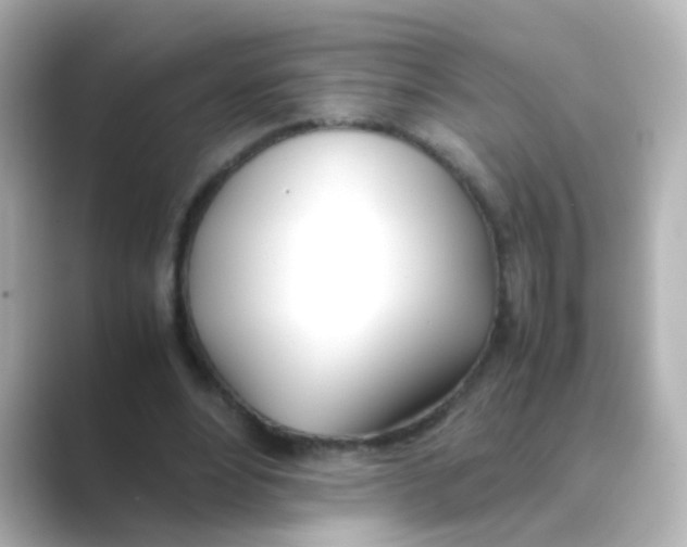 X0000088680488200706211911