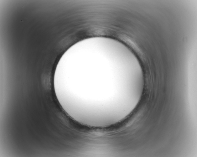 X0000088680489200706211911