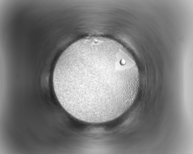 X0000088680491200706211911