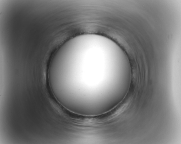 X0000088680493200706211911