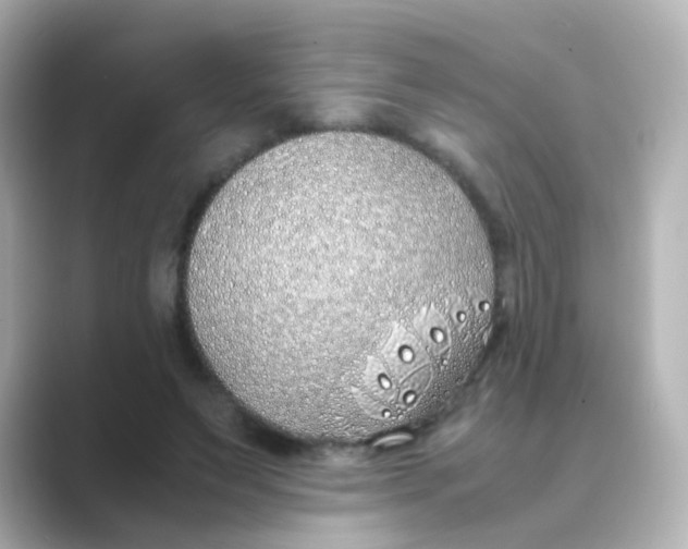 X0000088680495200706211911