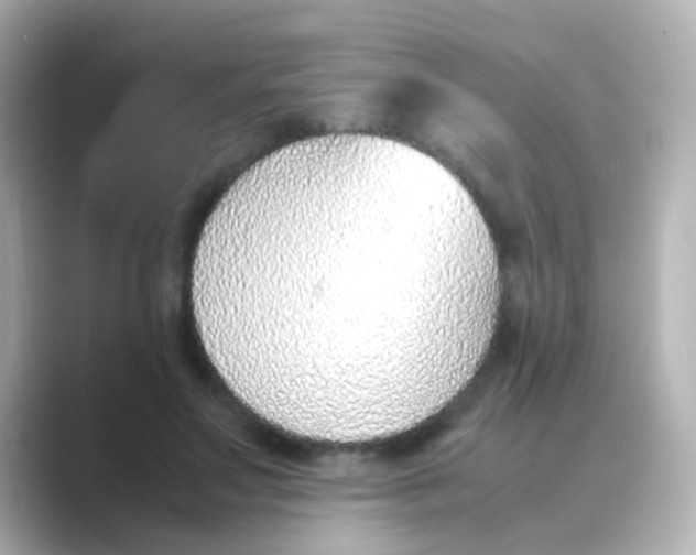 X0000088680499200706211911