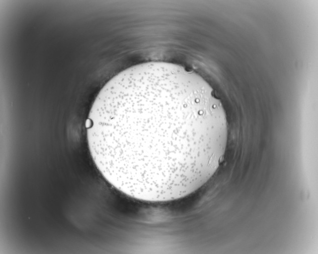 X0000088680503200706211911