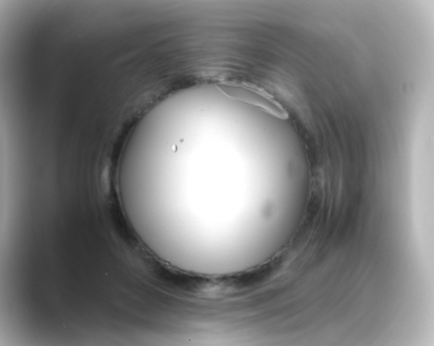X0000088680504200706211911