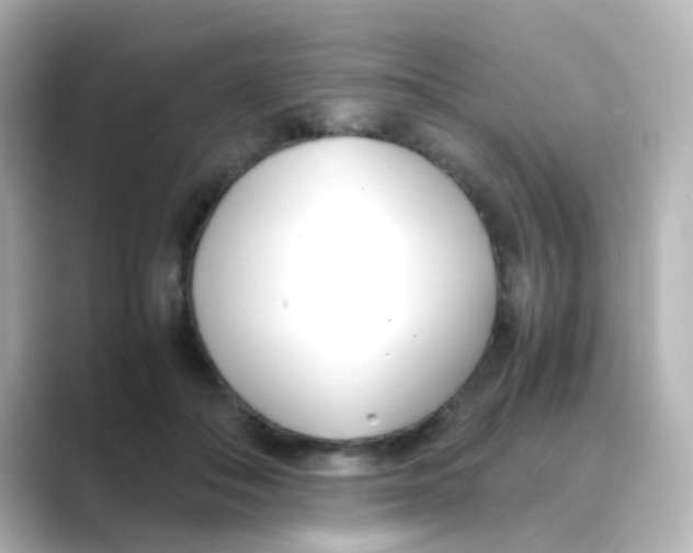 X0000088680506200706211911