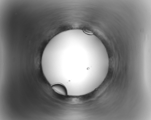 X0000088680509200706211911