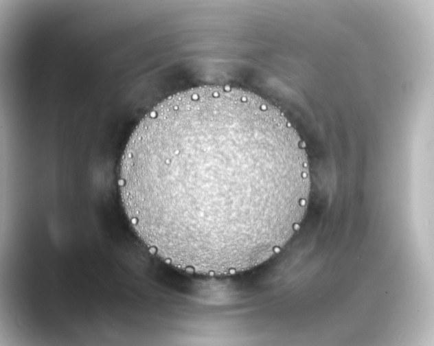 X0000088680511200706211911