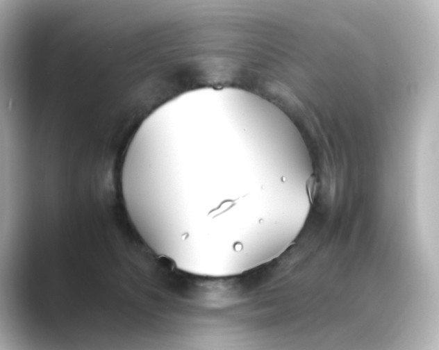 X0000088680516200706211911