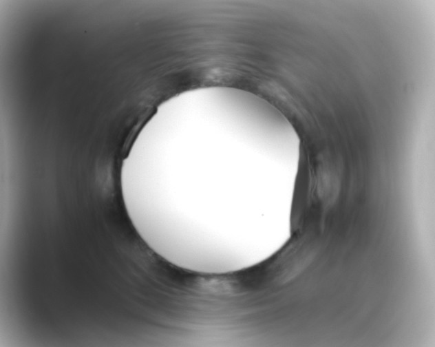 X0000088680520200706211911