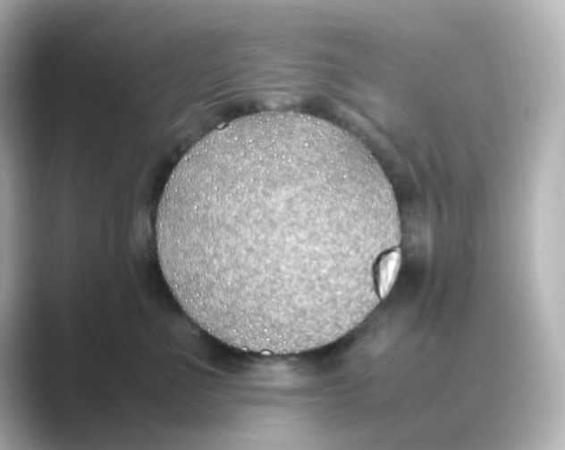 X0000088680523200706211911