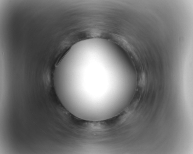 X0000088680524200706211911