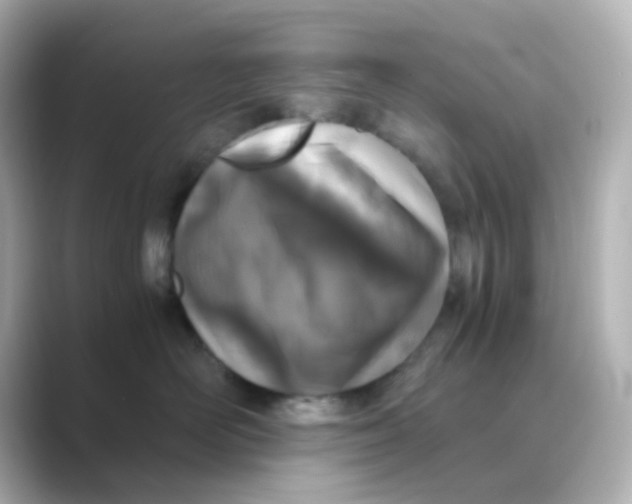 X0000088680526200706211911
