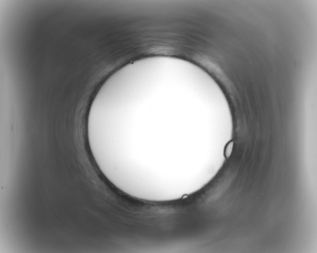 X0000088680529200706211910
